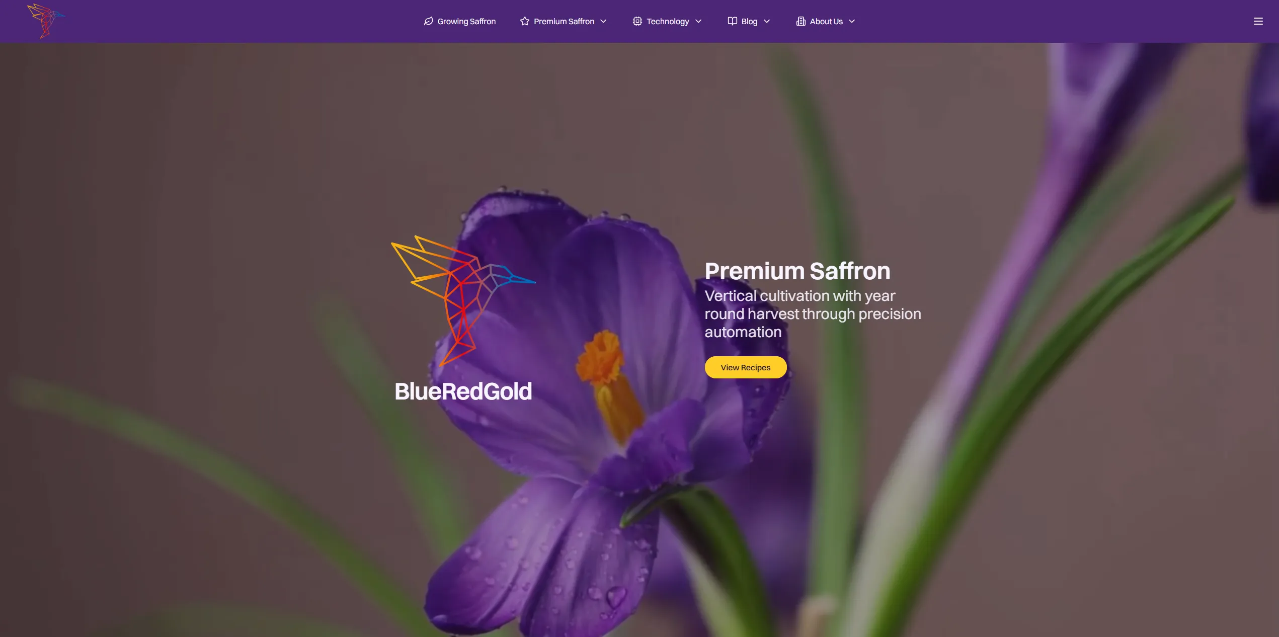 BlueRedGold